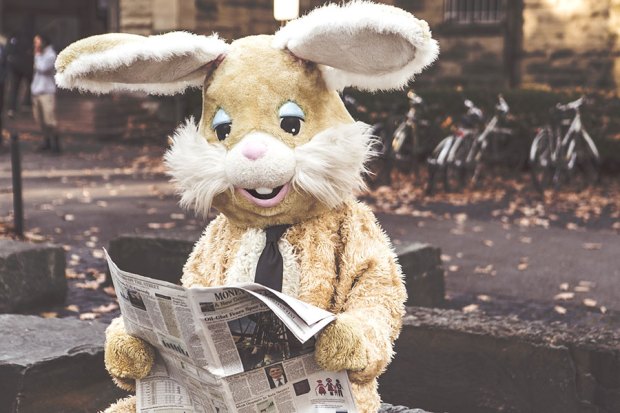 person in bunny suit reading the newspaper